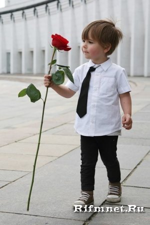 Выбирал мальчишка розу...
