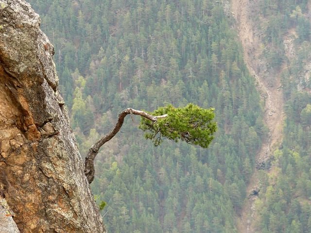 Доверие к людям - вариант русской рулетки.