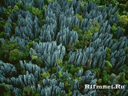 Каменный лес на Мадагаскаре