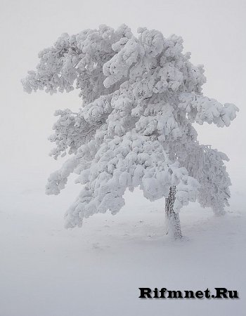 Зима для того и создана в белых тонах, чтобы начинать свою жизнь с белого листа,,,,,,,,