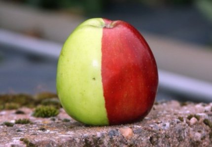 Притча о любви: Два яблока