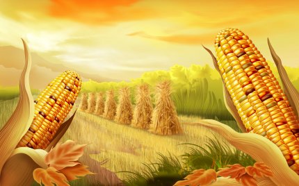 Фермер и кукуруза