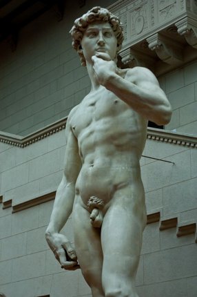 Статуя Давида (Микеланджело)