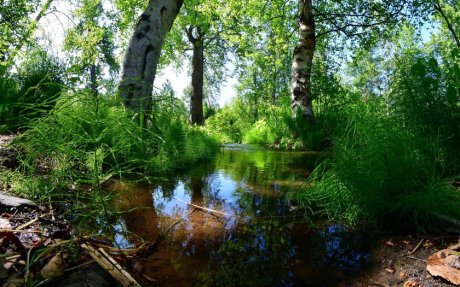 Непосильное для Всемогущего