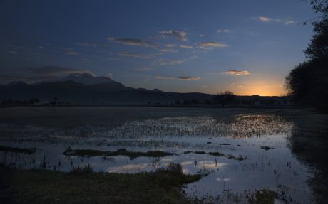 Руки Бога