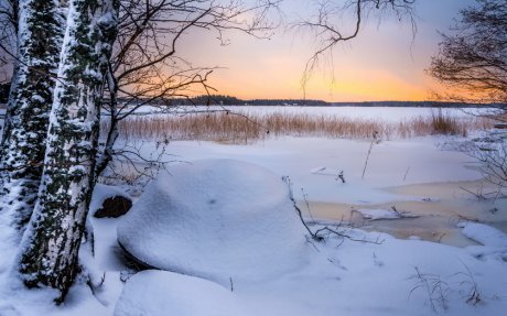 Близкая и далёкая цель