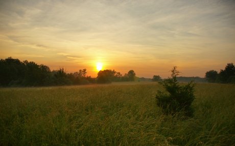 Лучшее лекарство