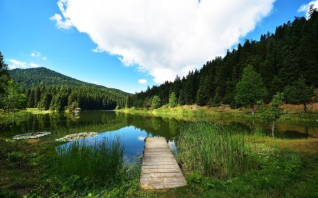 Любовь в сердце матери