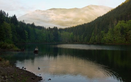 Оркестр