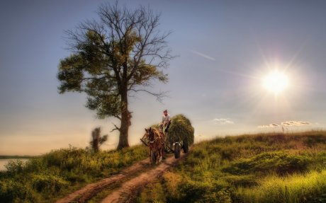 Результаты воспитания