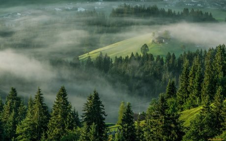 Амулет, который не потерять