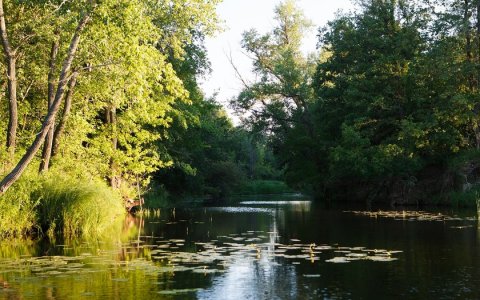 Воровство раскалённого золота