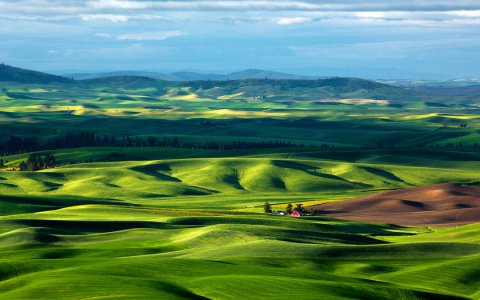 Лекарь и горбатый человек