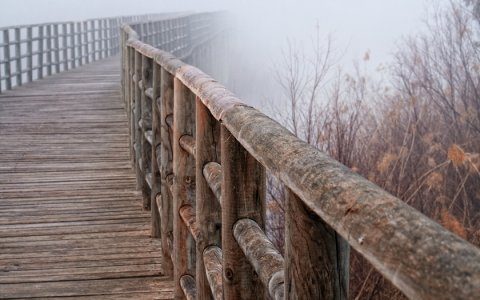 Только часть правды