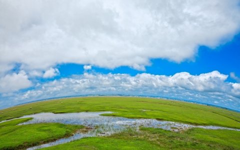 Время утренней прогулки