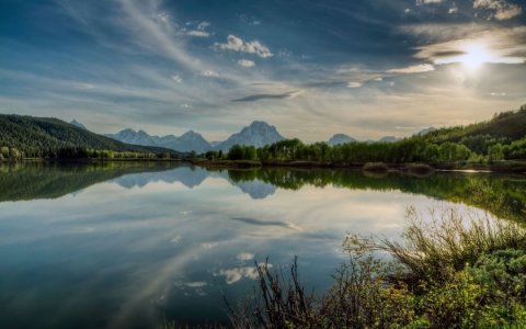 Гусеница и кузнечик