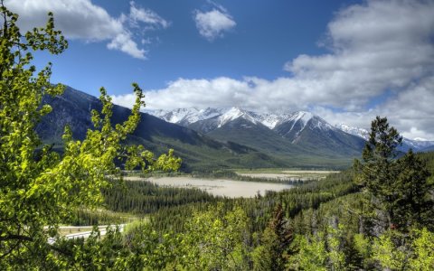 Не в аскетизме суть