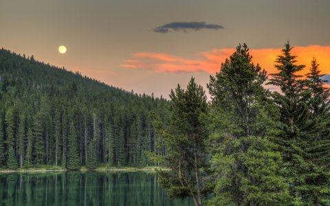 Не верь своим догадкам