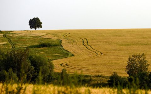 Оба слушают