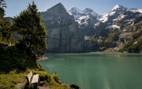 Черепаха и ласточка