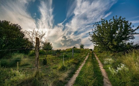 Цезарь и лекарь