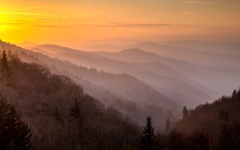 Цапля и журавль