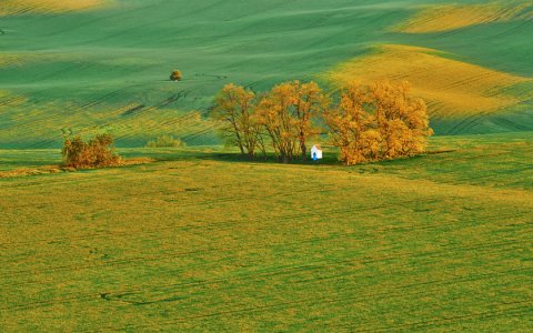 Врач исследует картину