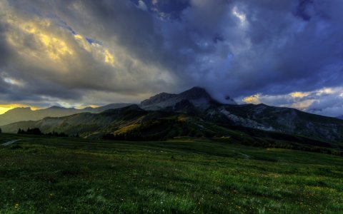 Бакалейщик и попугай, проливший благовонное масло