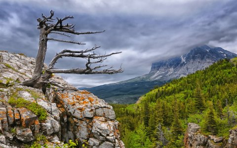 Сомневаешься — удаляй!