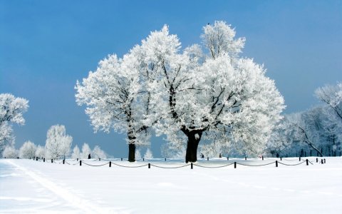 Стыдно перед ворами