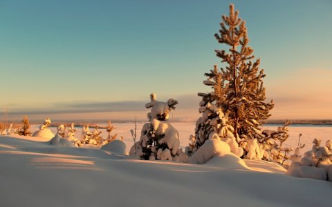 Халат верховного казия