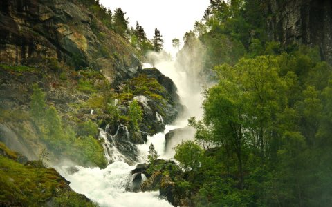 Вопрос великодушия