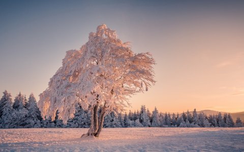 Души до сотворения тела