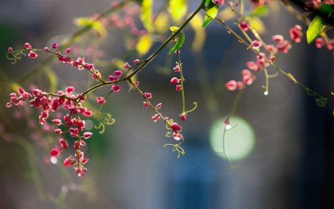 Загородился от Истины