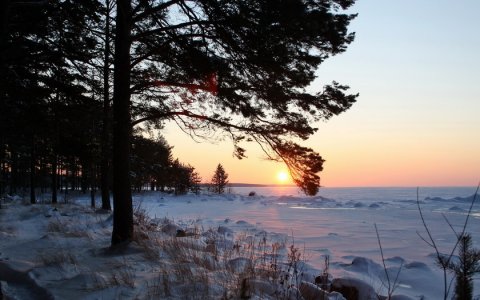 Последняя капля