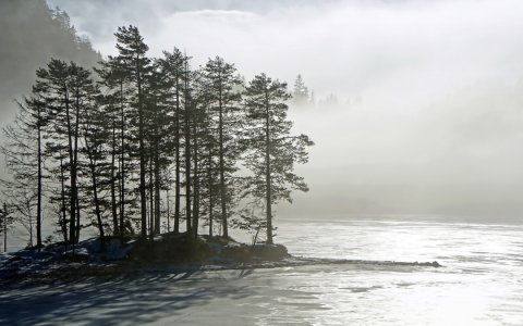 Сандалии пророка