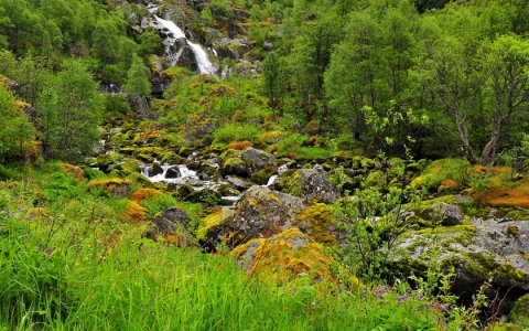 Сегодня — огонь, завтра — пепел