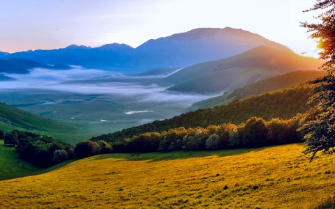 Судьба кувшинчика